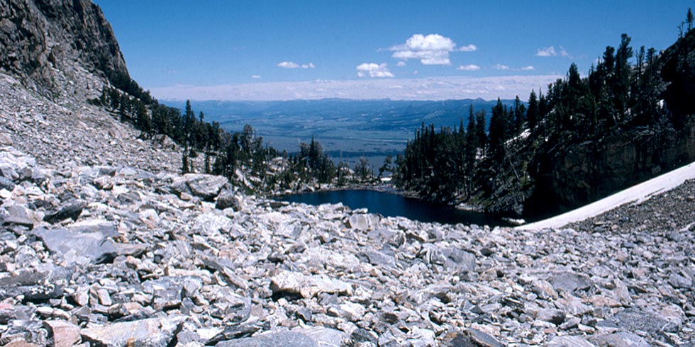 Talus slopes are common habitats for pikas and yellowbellied marmots in the Teton Range.