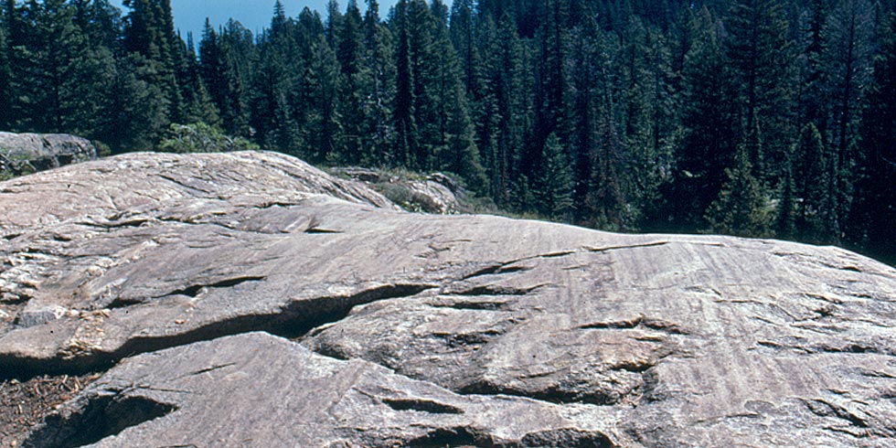 Igneous diabase dikes squeezed into metamorphic gneiss and igneous granite throughout the Tetons.