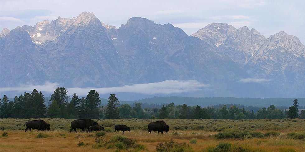 Early supporters of park envisioned a landscape which preserves the character of the Old West.