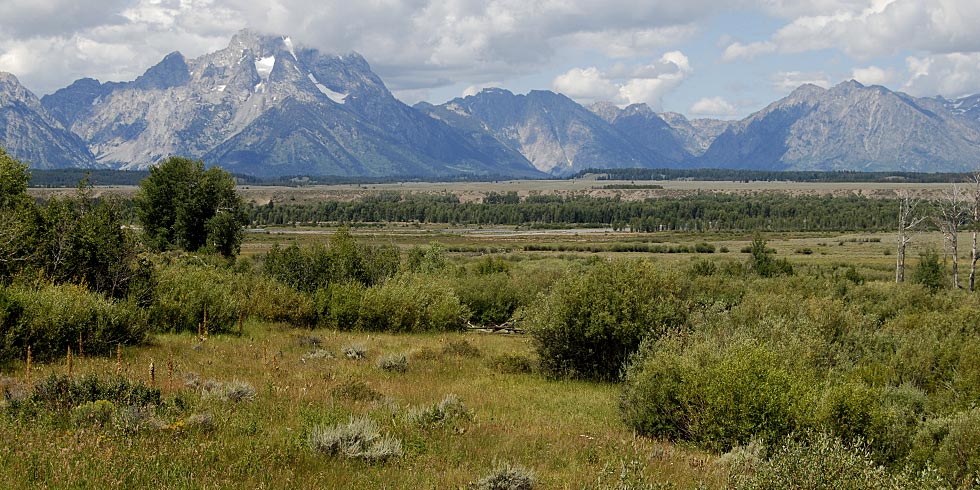 Meadows are interspersed throughout sagebrush, forest, wetland and alpine communities.