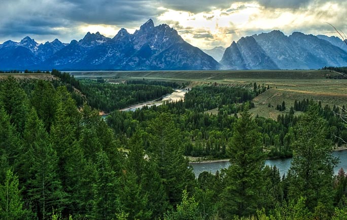 Wild Communities | Discover Grand Teton