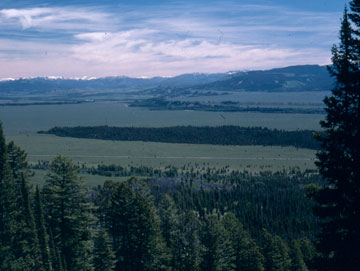 Bull Lake Glaciation