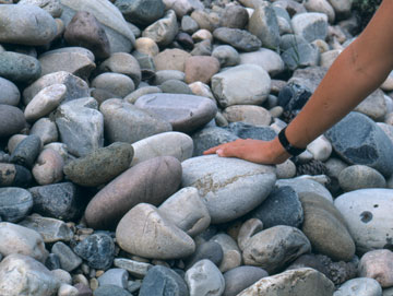 Quartzite Formation